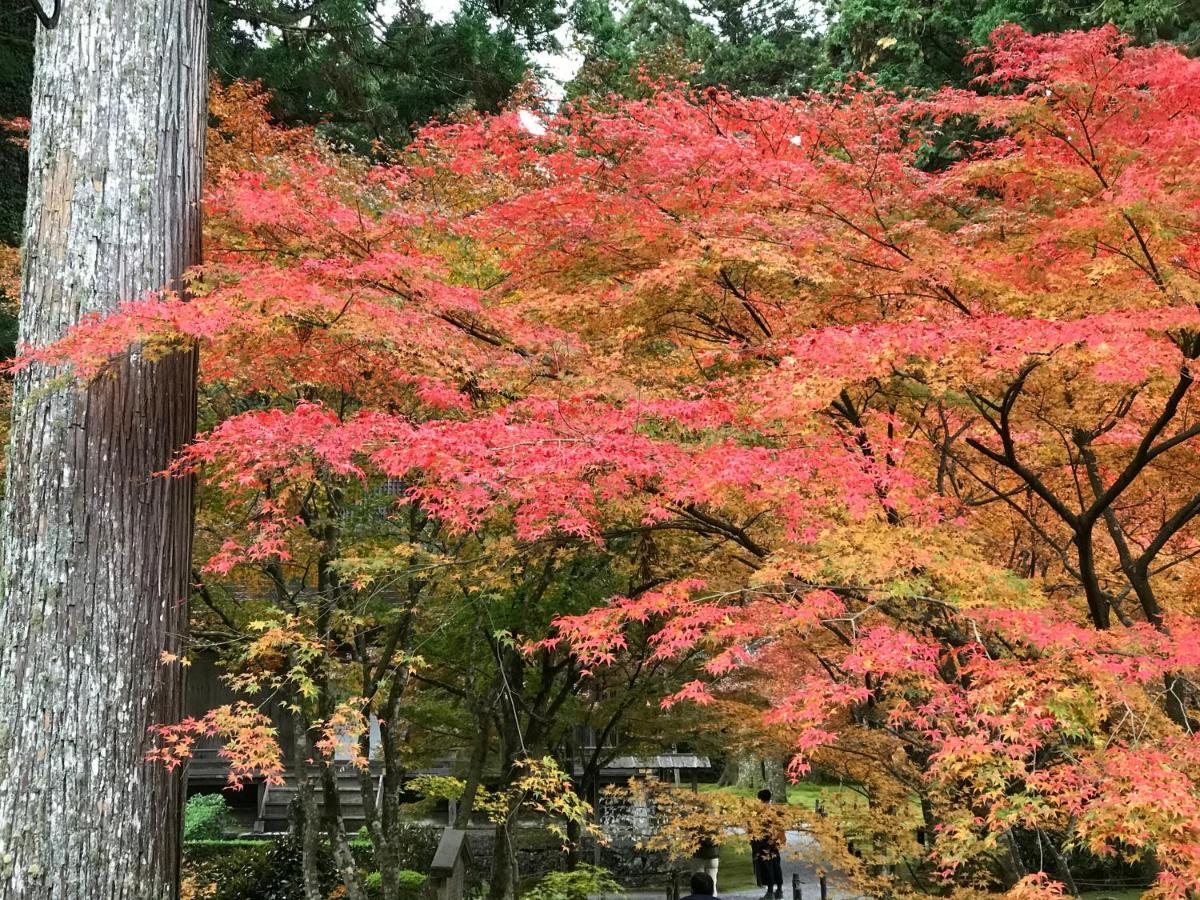 京都Ohara Sensui Surrounded By Beautiful Nature别墅 外观 照片