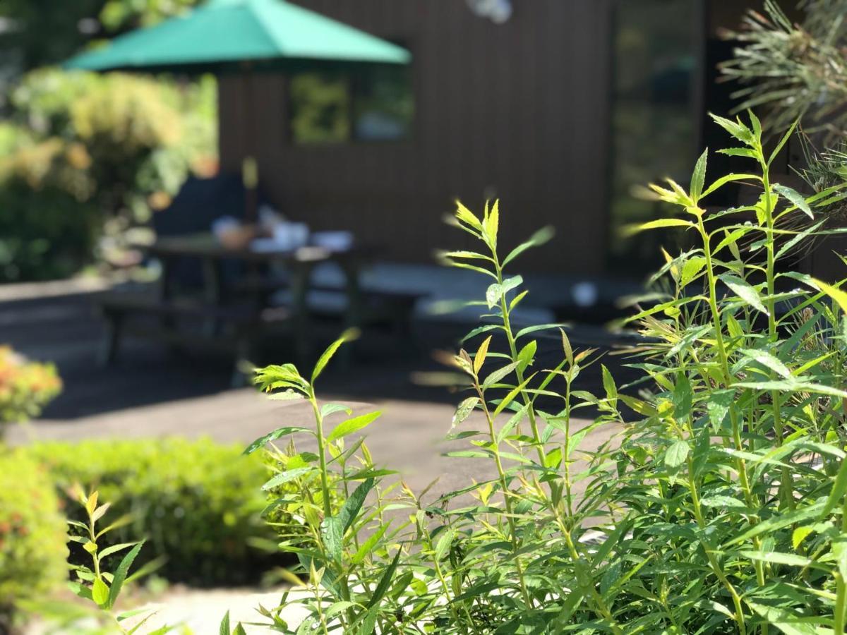 京都Ohara Sensui Surrounded By Beautiful Nature别墅 外观 照片