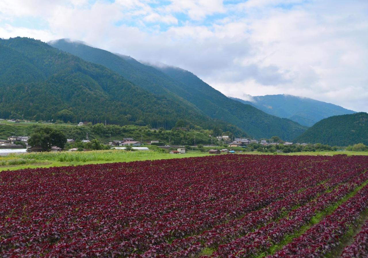 京都Ohara Sensui Surrounded By Beautiful Nature别墅 外观 照片